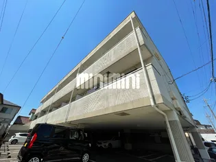 コンフォールサキの画像