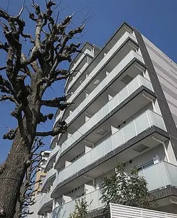 HY'S SALIRE 用賀の画像