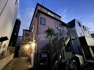 スプルースの画像