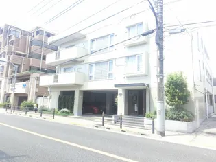 ベルテ桜の画像