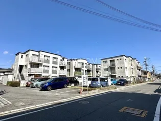 ポンテ フィーコの画像