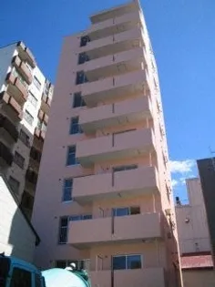 アイビーパレス52【3階】の外観