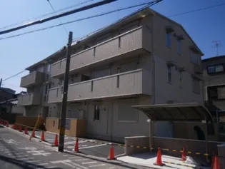 アルベロ ディ エノキの画像