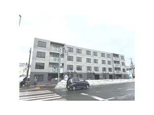 PRIMAVERAの画像