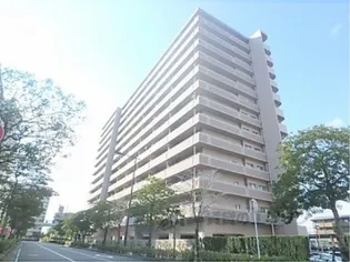 グレーシィ栗東デュオの画像