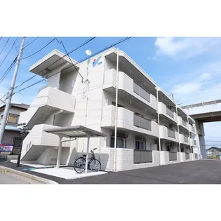 Y&M VILLAWHITEの画像