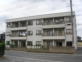 コスモスハイツ【2階】の外観