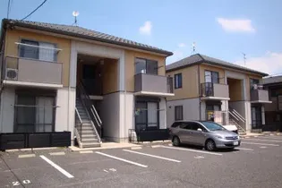 アムールBの画像