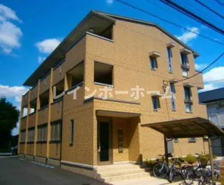 ミカサ スカサの画像