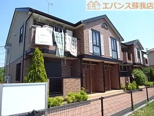 パークサイド水草の画像