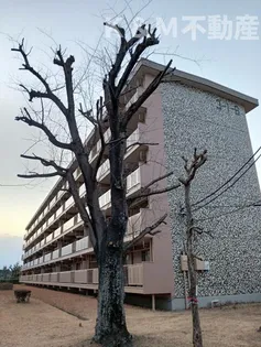 大津ケ丘団地第一7号棟の画像