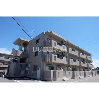 Y&MアグリザードIIの画像