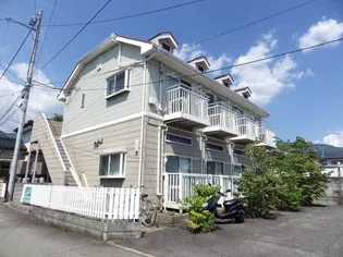 アンビシャスの画像