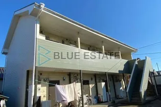 コーポラッコの昼寝の画像