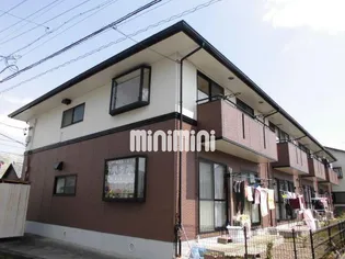 ランセハイカムールの画像