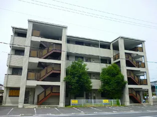 TWINAVENUEの画像