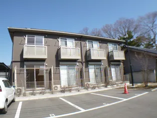 LA DISH ラディッシュの画像