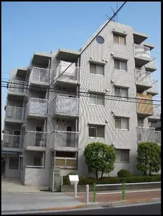 ベルタス蓮根の画像