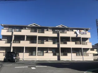 ロキシー プラセールの画像