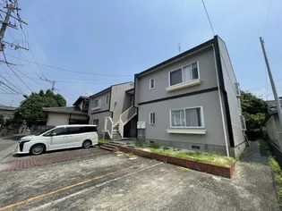 タウニィ明星の画像