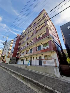 ソフィア朝霧の画像