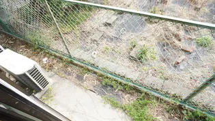 コーポ藤方【2階】の内装