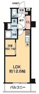 ARCOBALENO DAISHIMAE【4階】の間取り