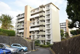 UR虹ヶ丘【8階】の外観