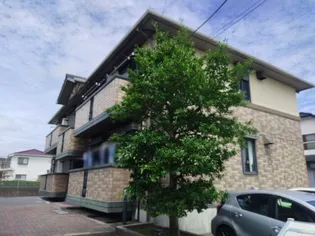 カエラ ライオンズ IIの画像