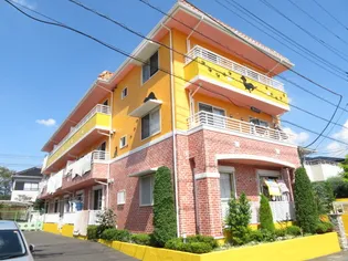 ミニョン シュシュの画像