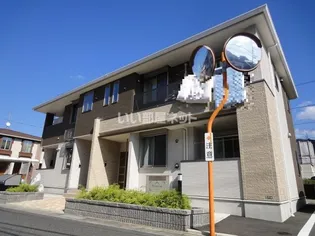 プリムローズBの画像