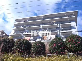 春里ハイツの画像