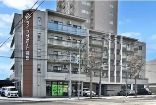 ATEENA HIRAGISHIの画像