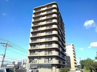 スターヒルズの画像