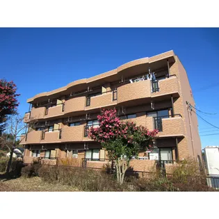 グランコリーヌの画像