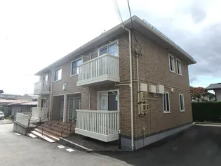 ピソマロニエAの画像