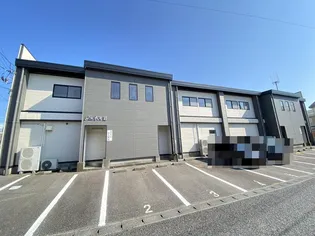 ジュネスVIの画像