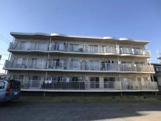 中新井ブルームハイツ【3階】の外観