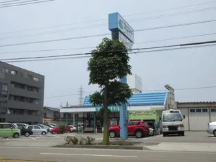 コートM【1階】の周辺