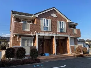 ファーストMの画像