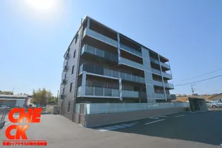 ヴィヴレ糒の画像