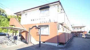 栗真ハイマートエクセル【1階】の外観