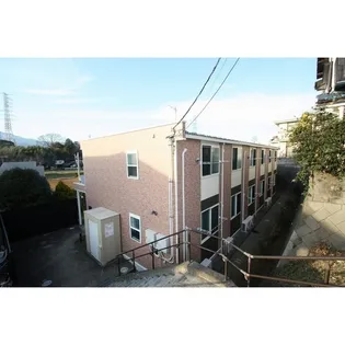 アイビーの画像