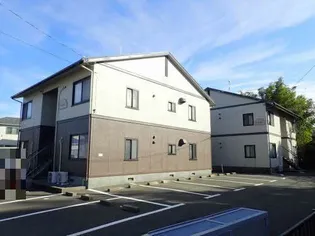 ベルテ椿の画像