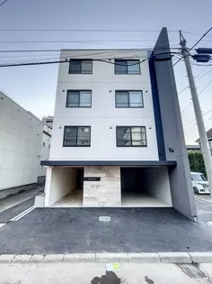 PINO COLLINAの画像