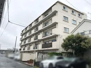 藤塚ヒミコマンションの画像