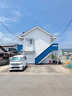 オオワダマリオンの画像