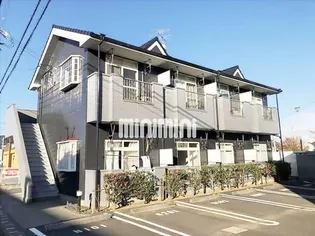 セシカ Nの画像