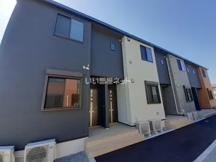 プラシードHの画像