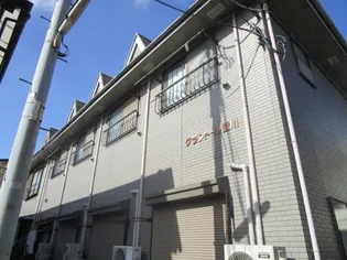 ルピナスの画像